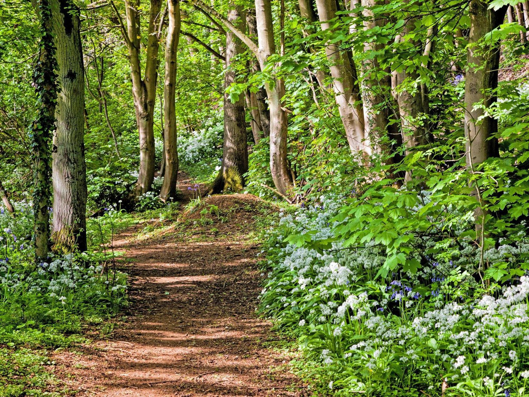 Squirrel Cottage Hook Norton Экстерьер фото